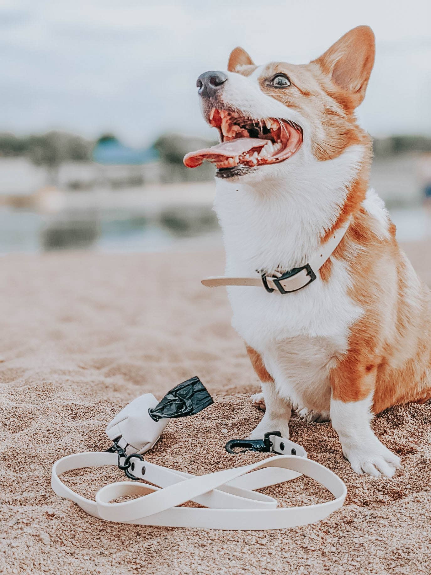 Waterproof Dog Leash - Beige