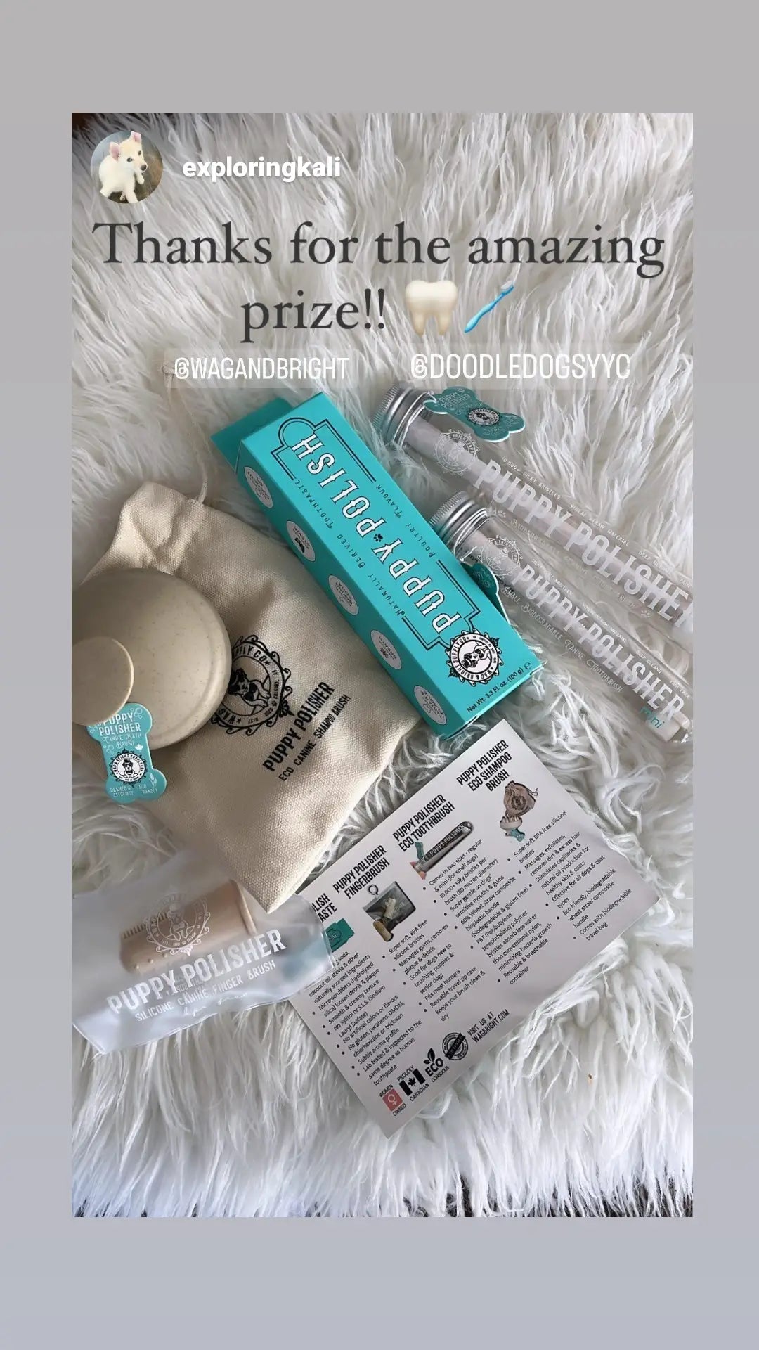 Puppy Polisher Shampoo Brush