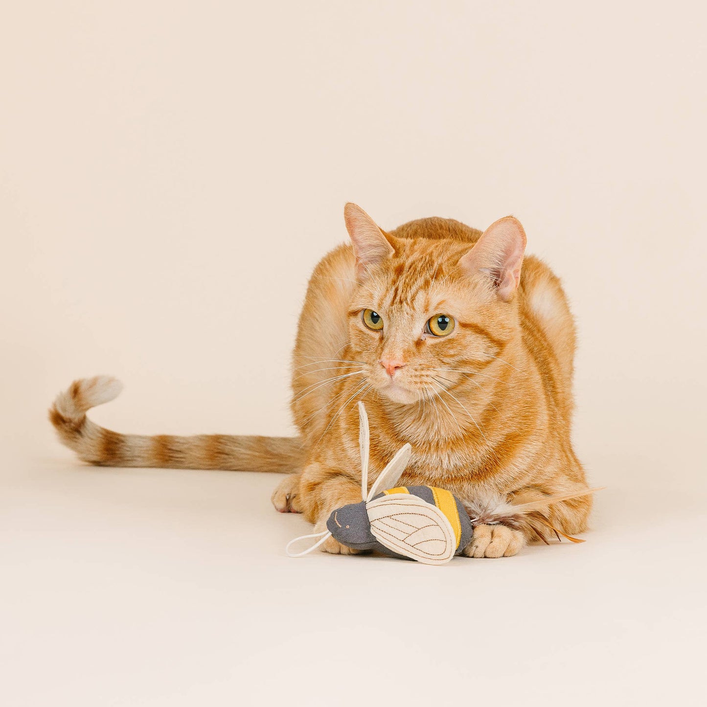 WORTH THE BUZZ LAUNCHER CAT TOY