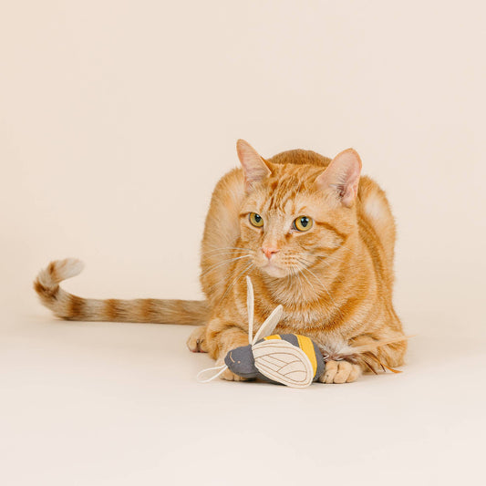 WORTH THE BUZZ LAUNCHER CAT TOY