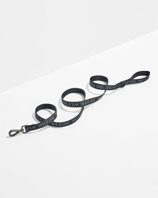 Lightweight Nylon Leash