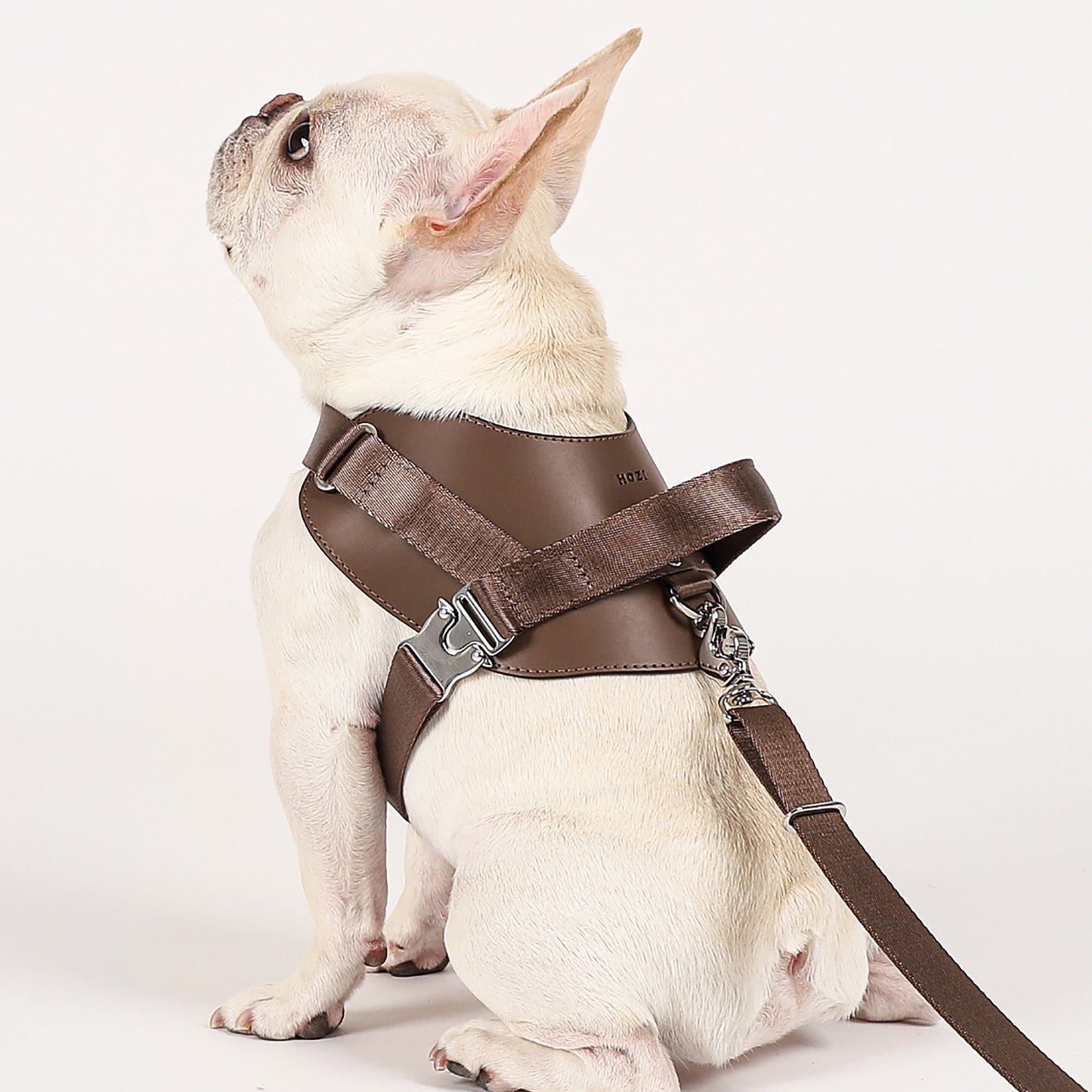 Saddle Hands-free Leash : Mocha