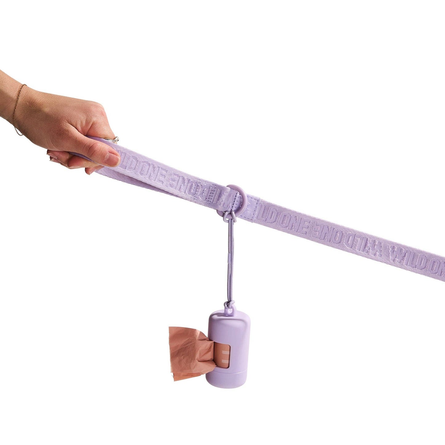 Lightweight Nylon Leash