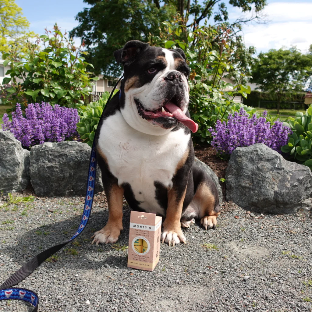 Compostable Cornstarch Poop Bags - 120 Bags (8 Roll Box)