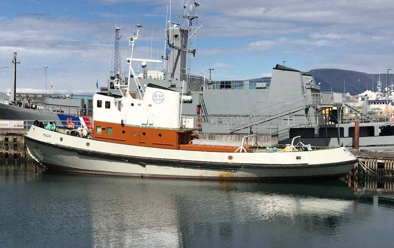 Icelandic+ Wolffish Stick & Pieces Fish Skin Chew Dog Treat