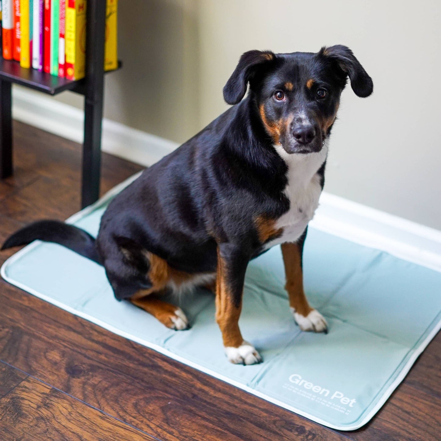 Cool Pet Pad