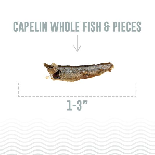 Capelin Whole Fish & Pieces Cat Treats: 1.5-oz Bag