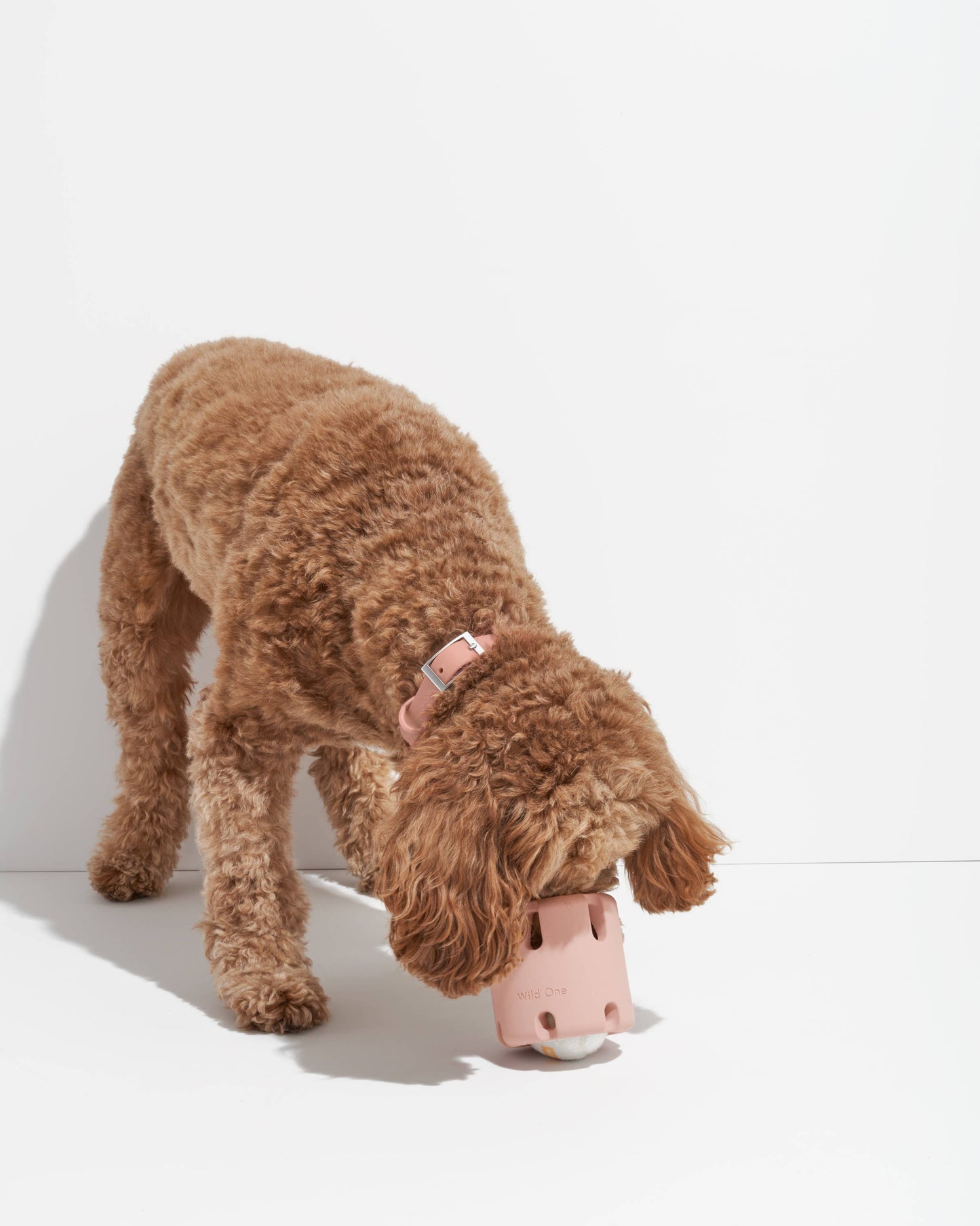 Tennis Tumble Interactive Dog Toy