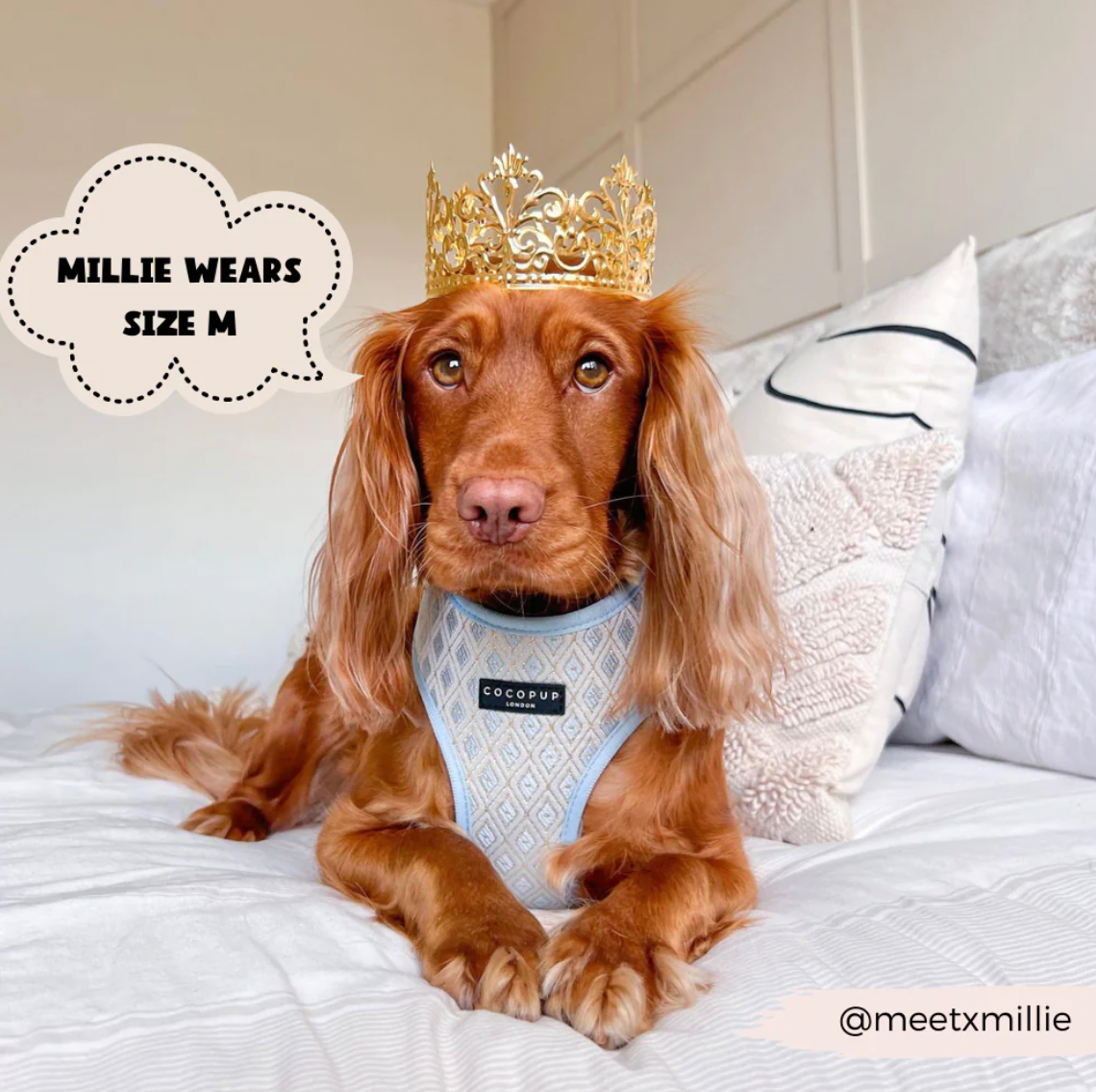 LUXE Embroidered Glitter Adjustable Harness - Pup Charming