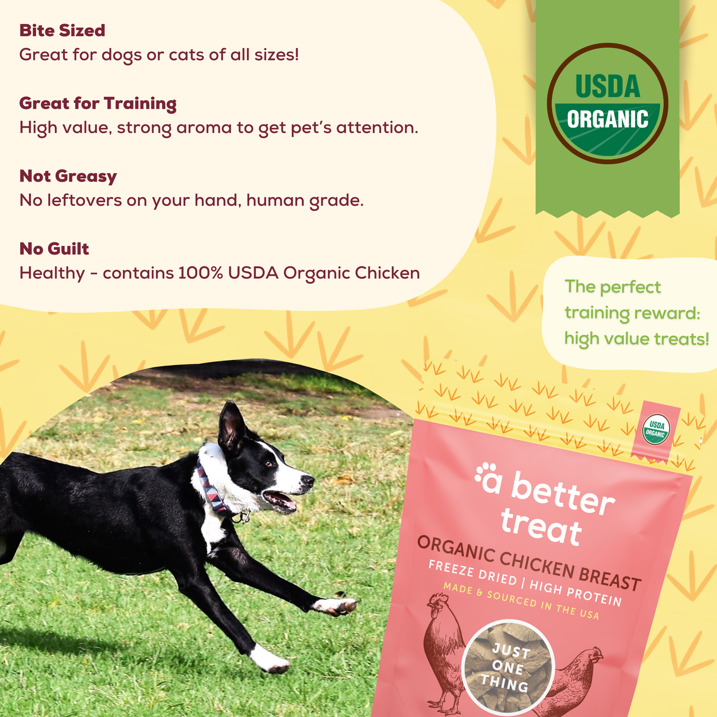 Organic Freeze Dried Chicken Breast Dog and Cat Treats: Standard 1 Pack