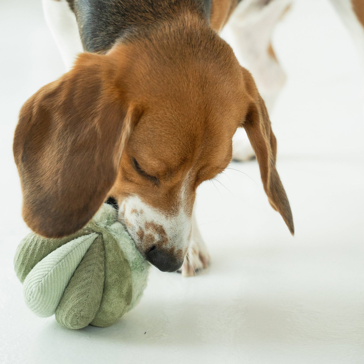 TOTO // Silent Snuffle Smaller Ball