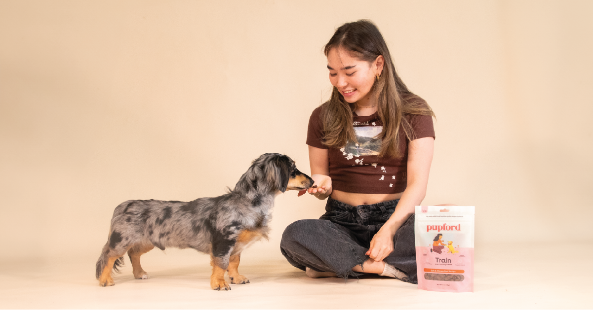 Beef Soft and Chewy Training Treat