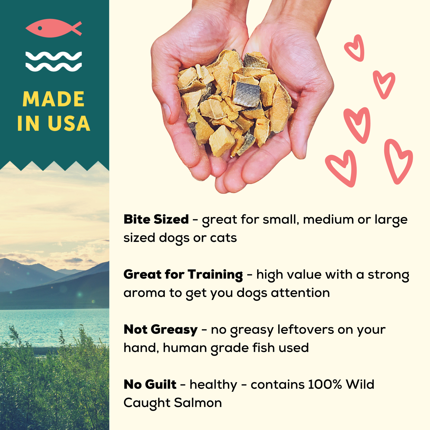 Freeze Dried Wild Caught Salmon Dog and Cat Treats: Standard 1 Pack