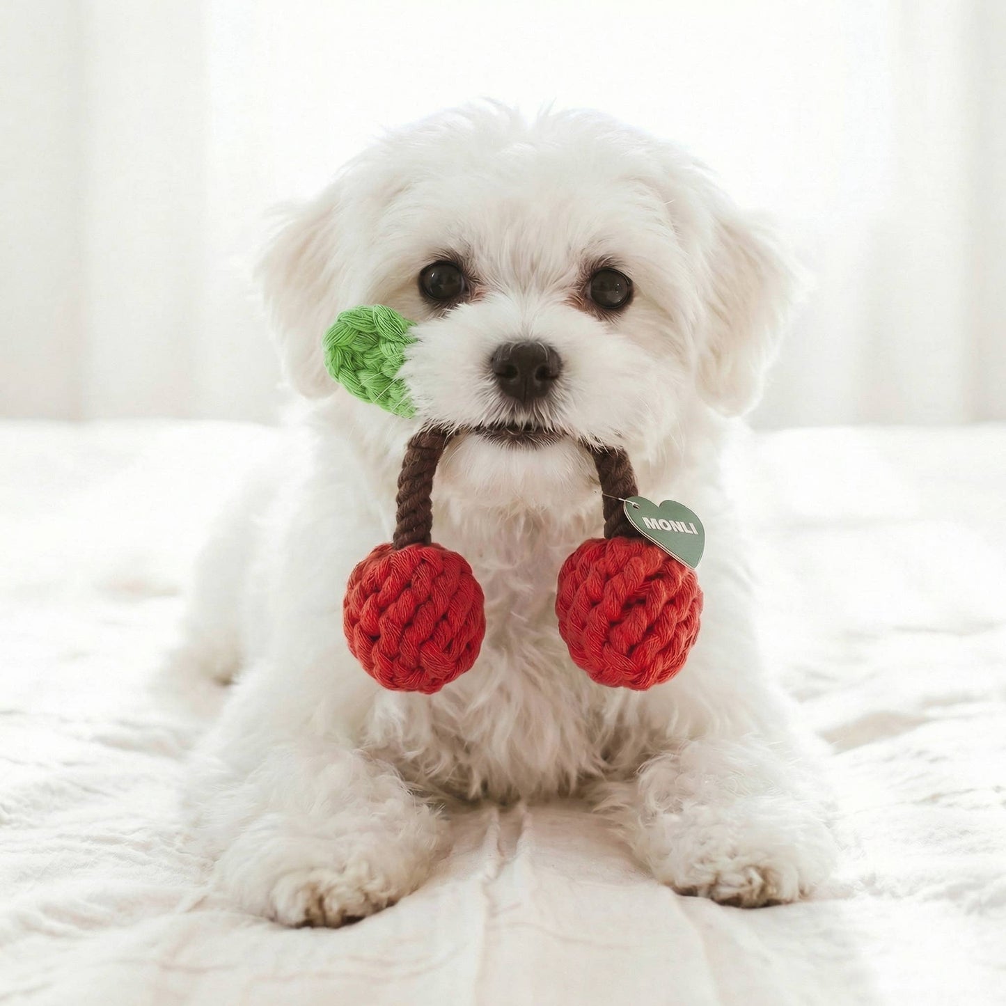 Handcrafted Cherry Pet Rope Toys | Sustainable | Small Pets