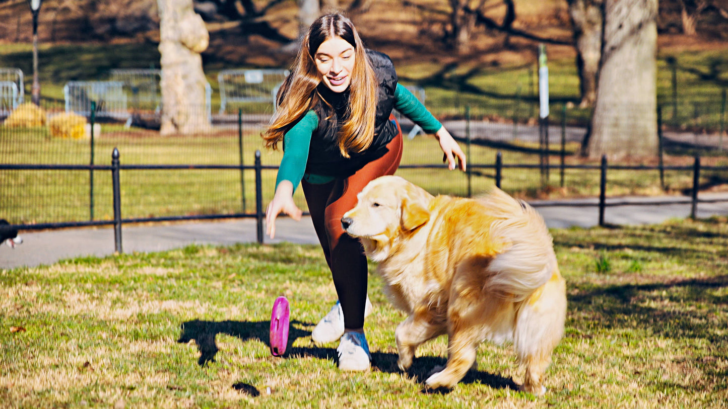 GOAT Sport Ring Dog Toy - Large