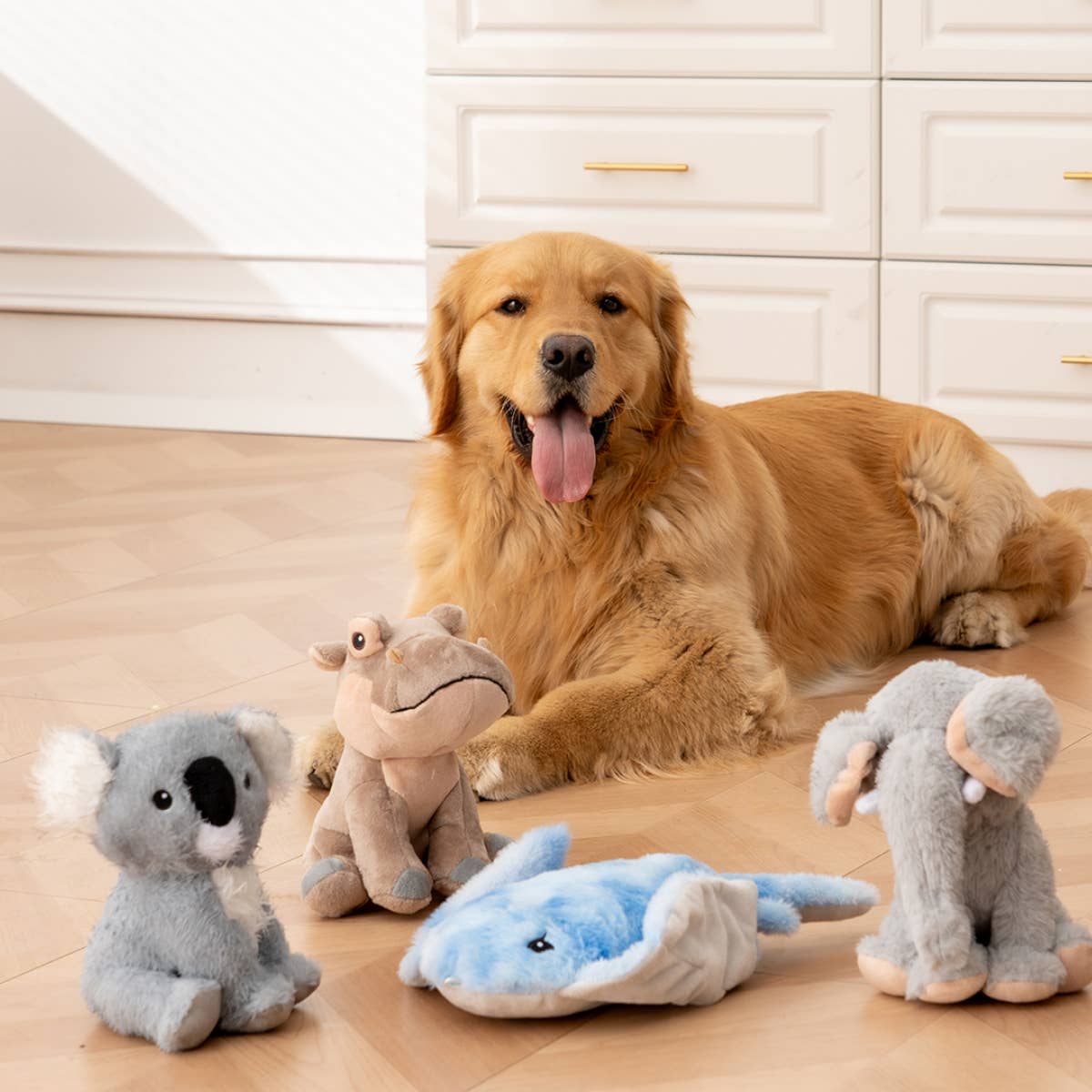 Animated Manta Ray Dog Toy