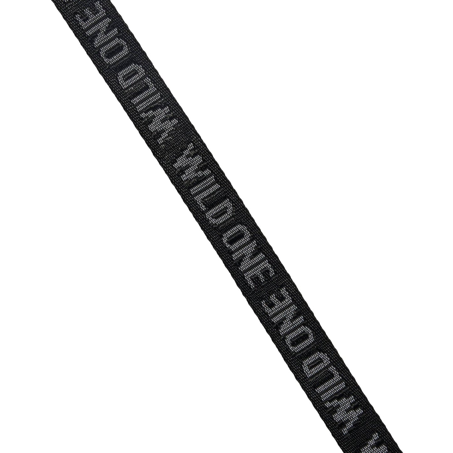 Lightweight Nylon Leash