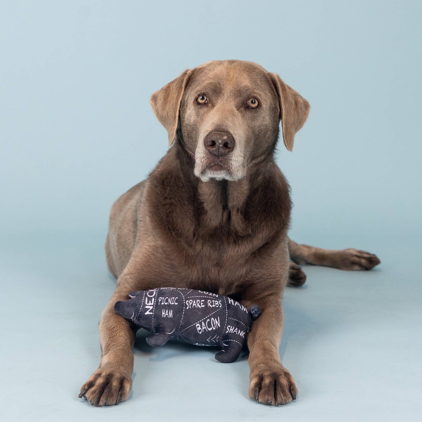 The Whole Hog Plush Dog Toy