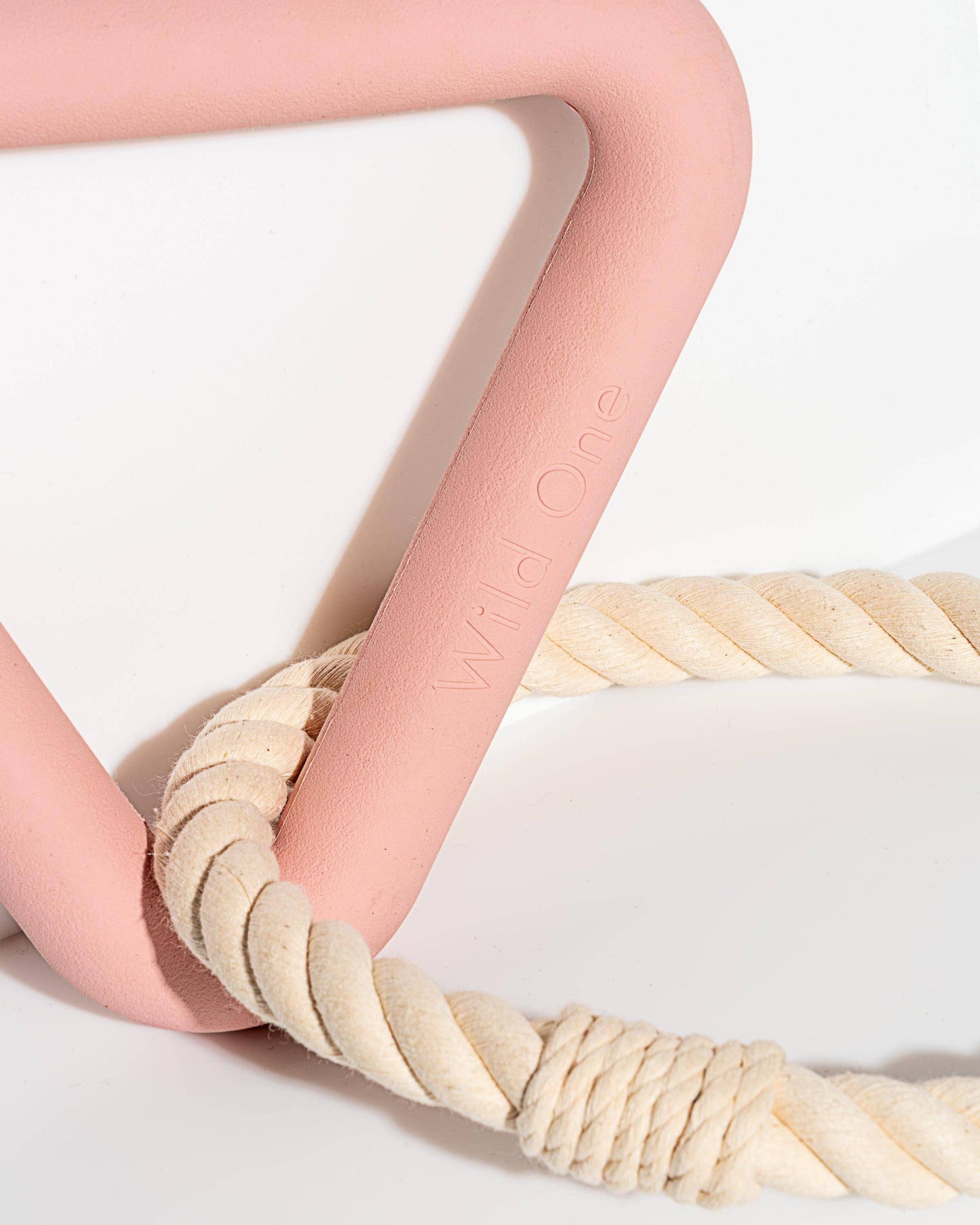 Triangle Tug Dog Chew Toy: STANDARD / Spruce