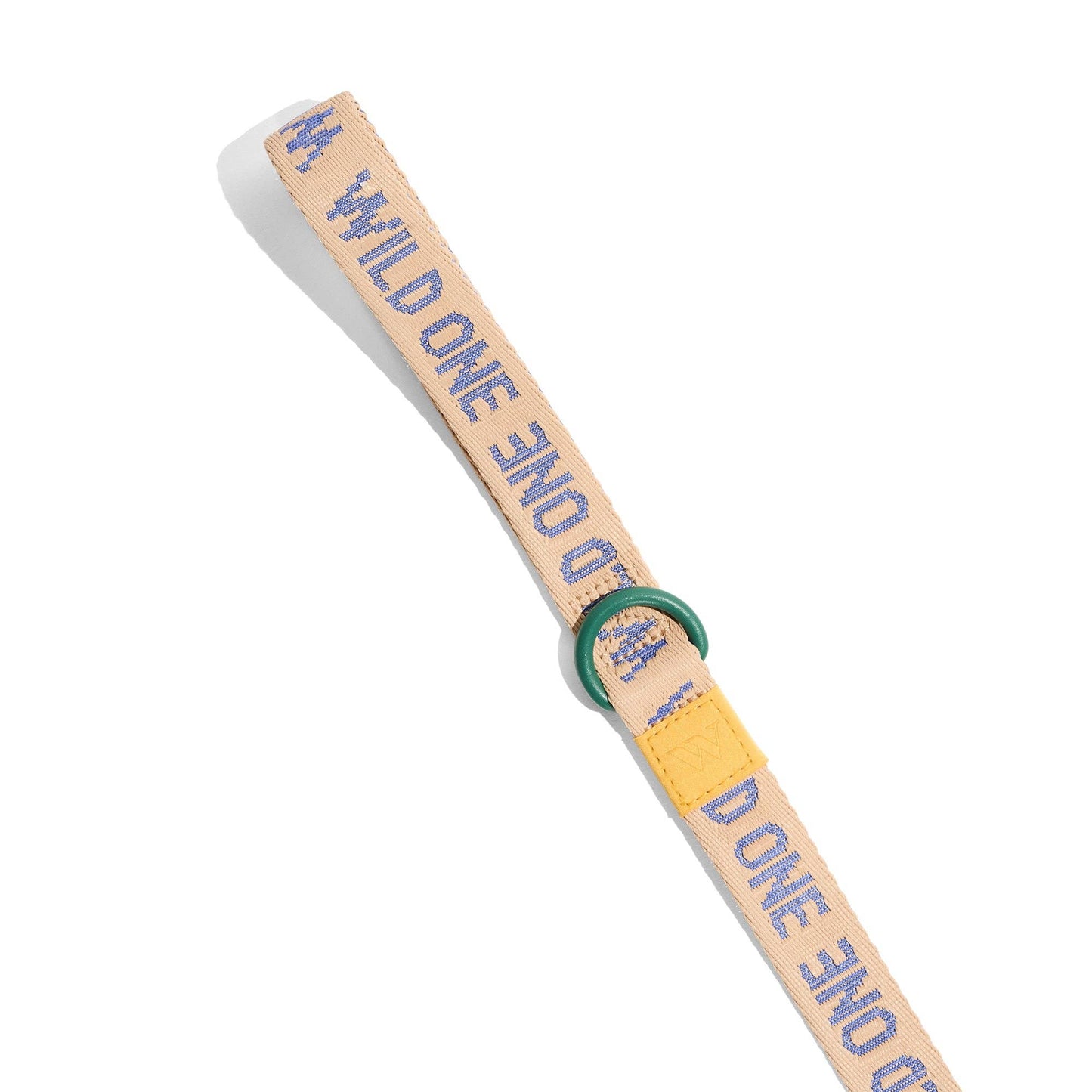 Lightweight Nylon Leash