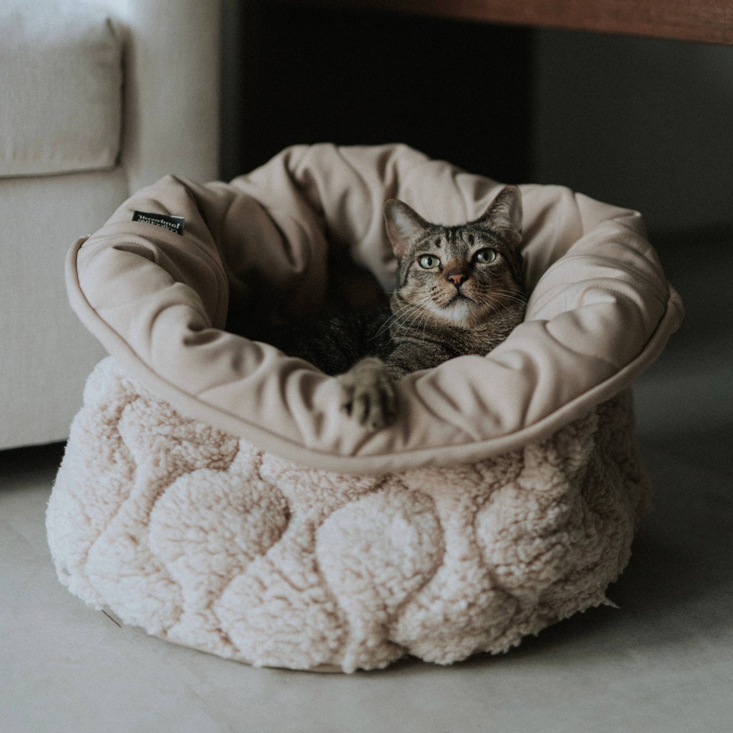 TAART // DOG&CAT BED // Reversible // PETITE