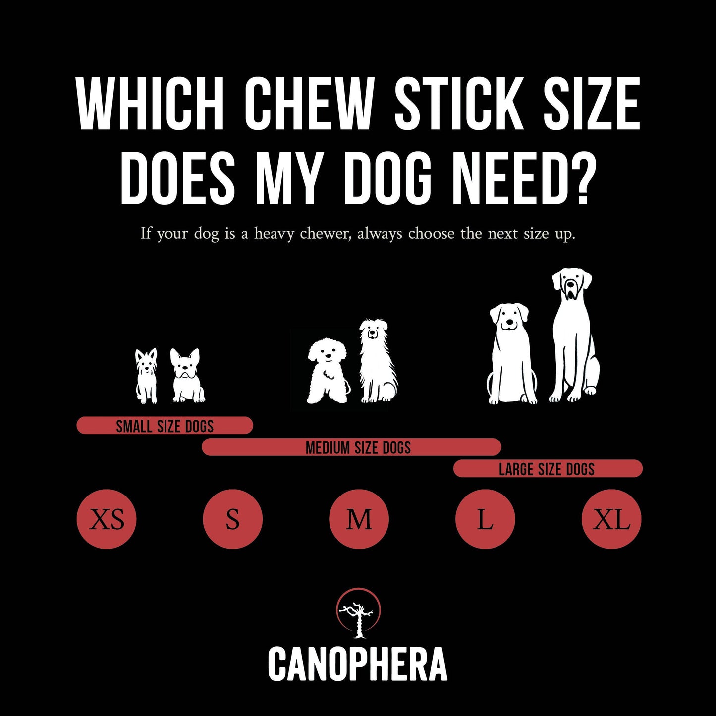 Dog Chew Made of Red Deer Antler Splits.: English / XS