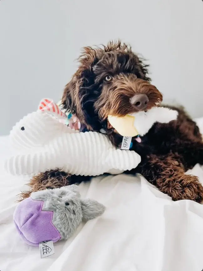 Easter Bunny Egg Dog Toys