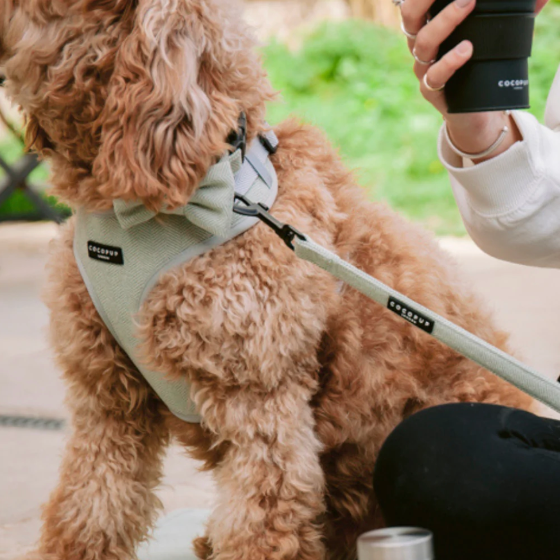 Tweed Adjustable Neck Harness - Sage