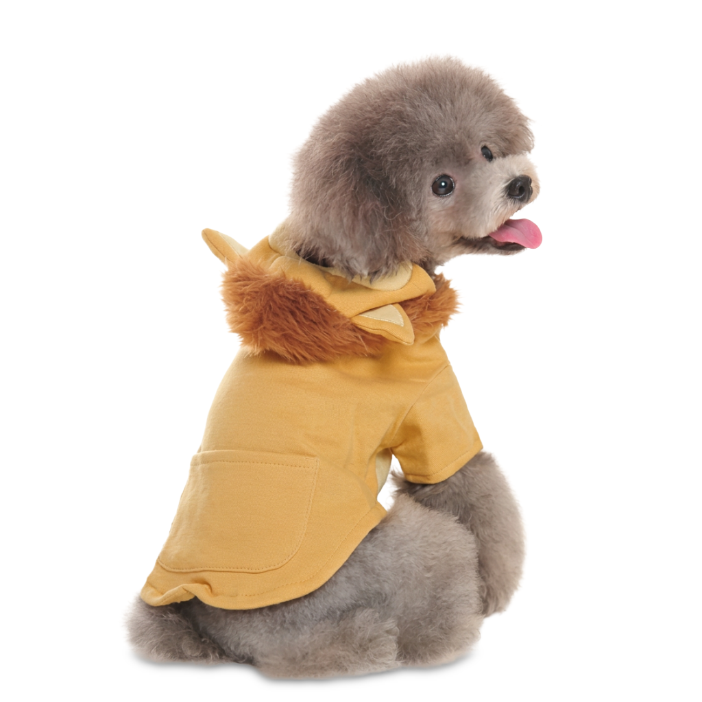 Lion King Sweatshirt