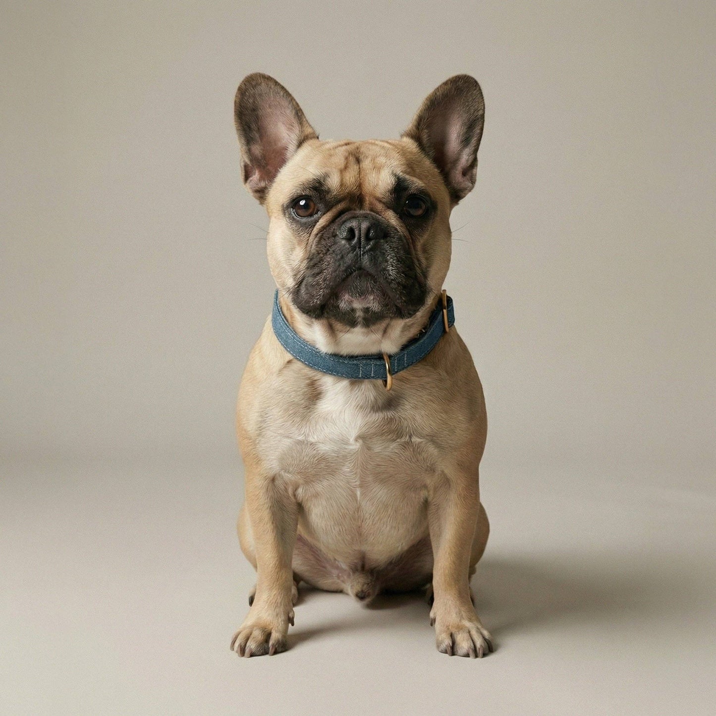 Denim Collar