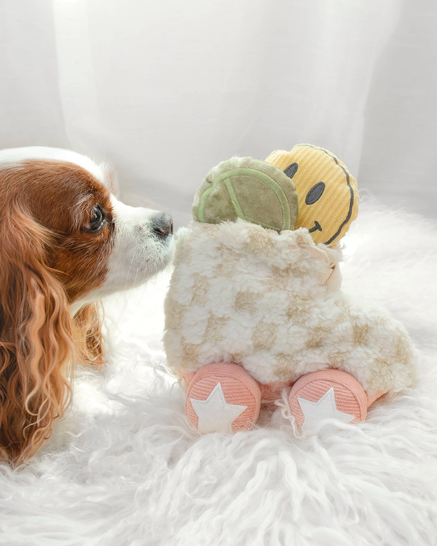 Roller Skate //ENRICHMENT DOG TOY
