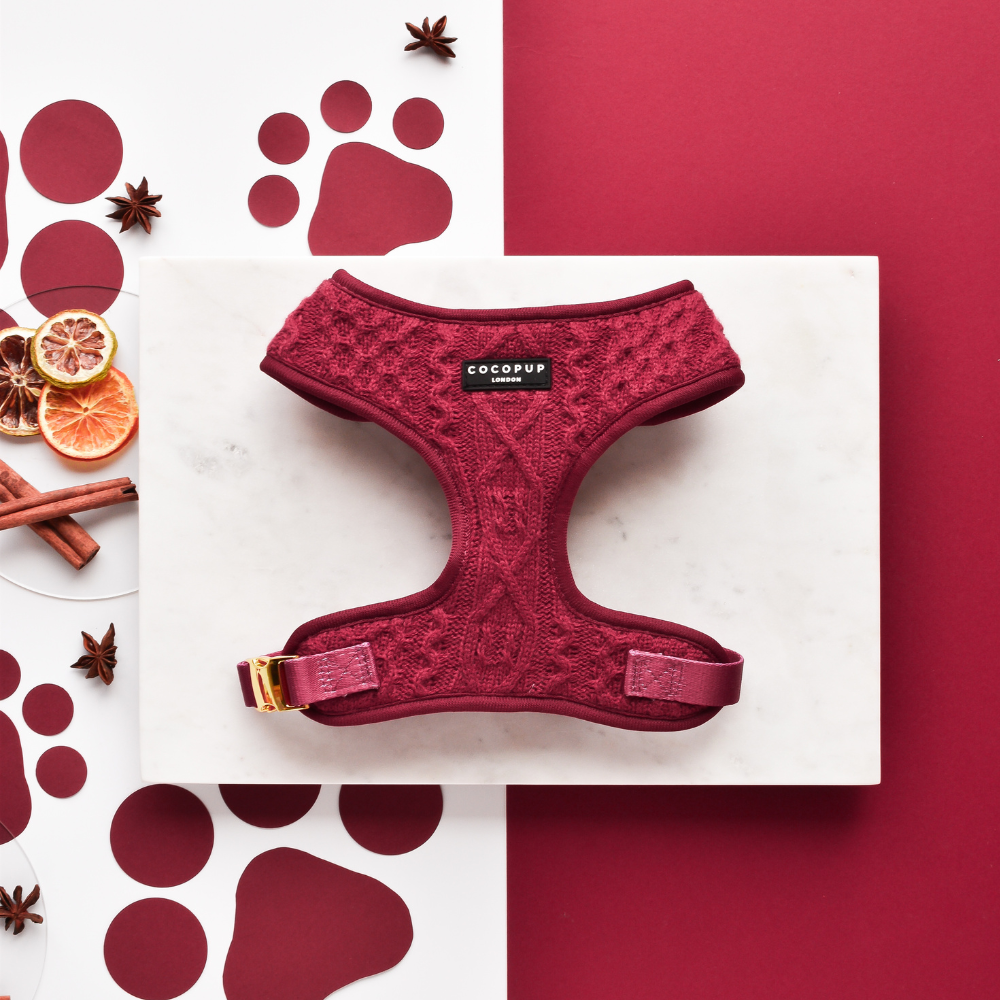 Cable Knit Jumper Adjustable Neck HARNESS - Mulled Pup Wine