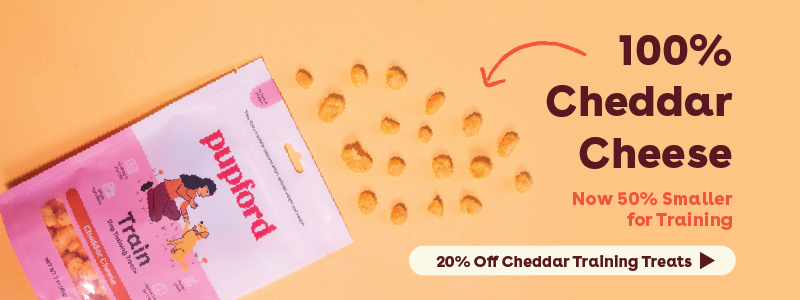 Cheddar Training Treat - Human grade