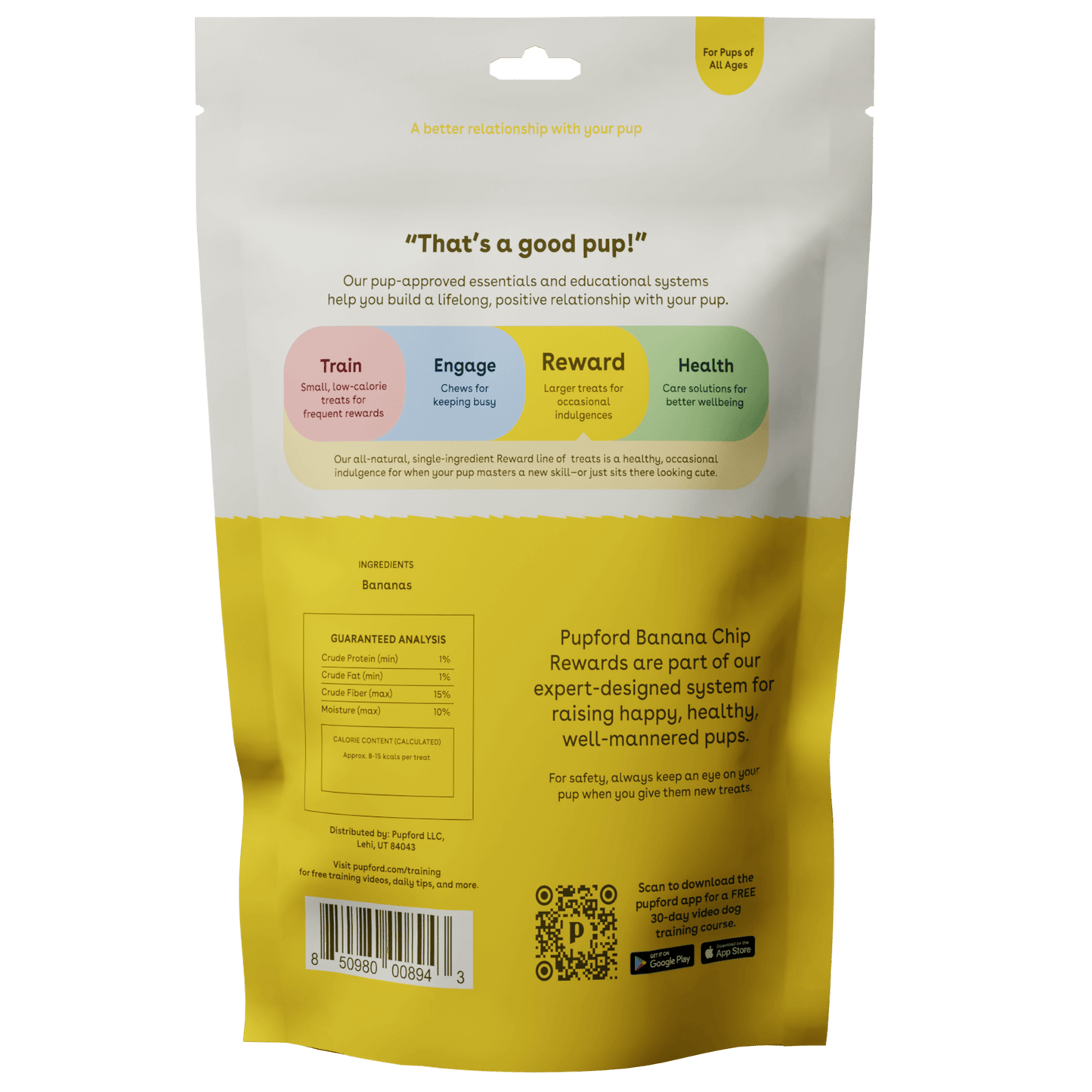 Banana Chips 3oz