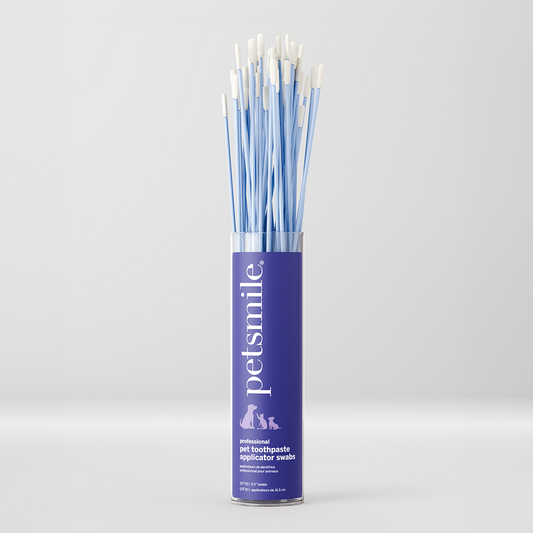 Professional Toothpaste Applicator Swabs