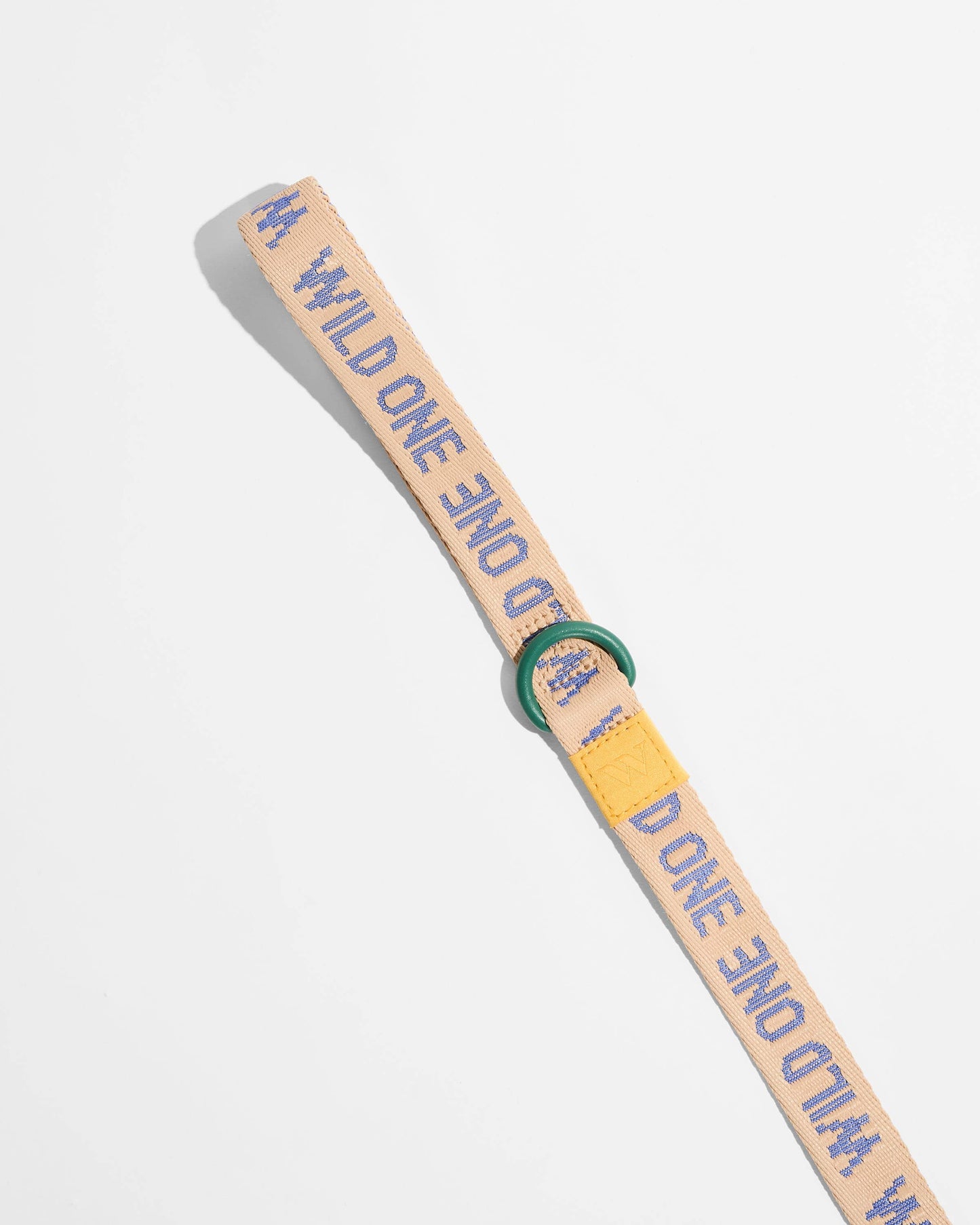 Lightweight Nylon Leash