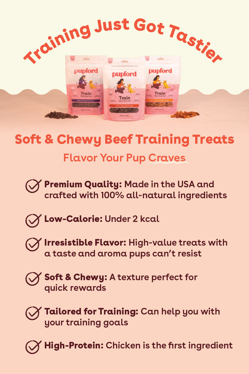Beef Soft and Chewy Training Treat
