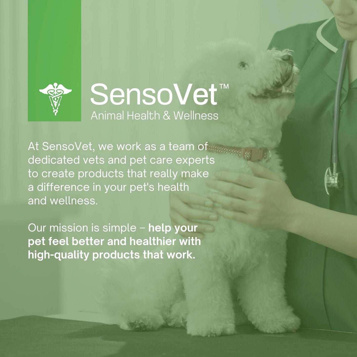 Advanced Probiotics & Digestive Enzymes Soft Chews for Dogs