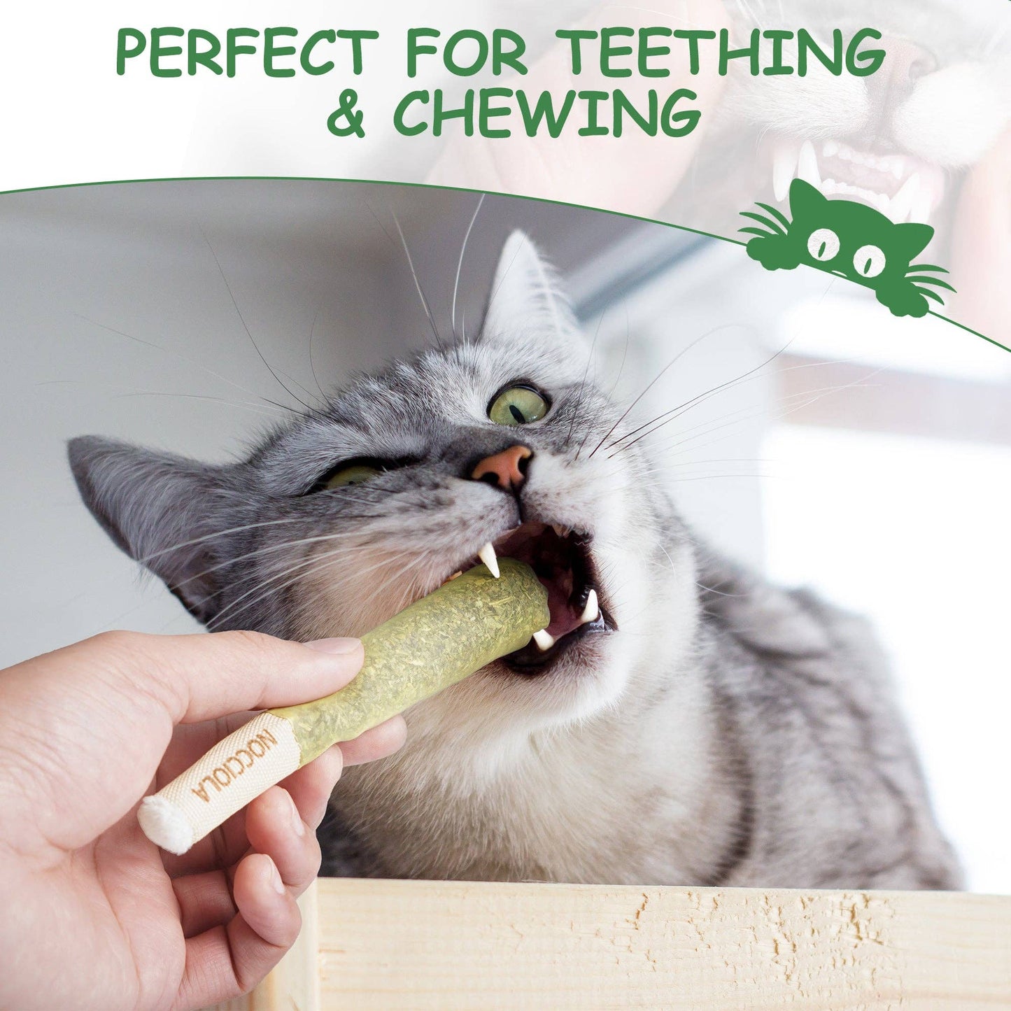 3 Pack Catnip Toys for Cats - MJ