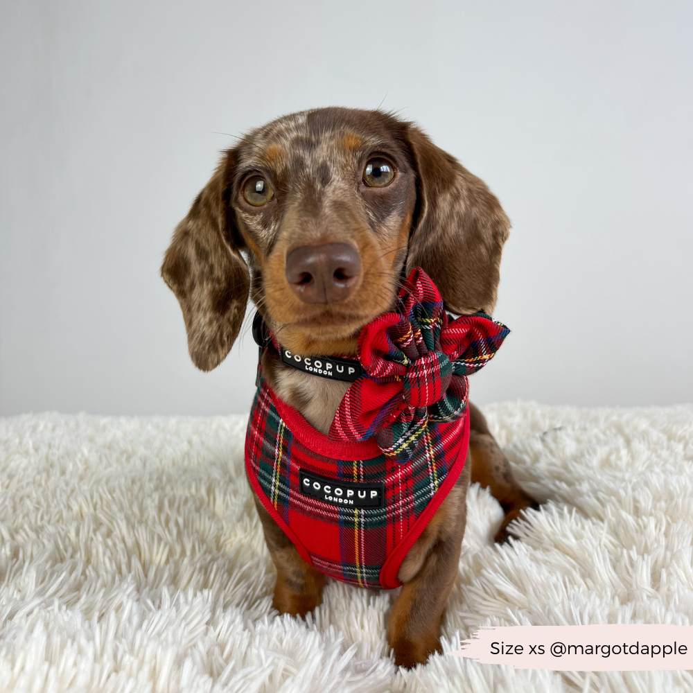 Tartan Adjustable Neck HARNESS