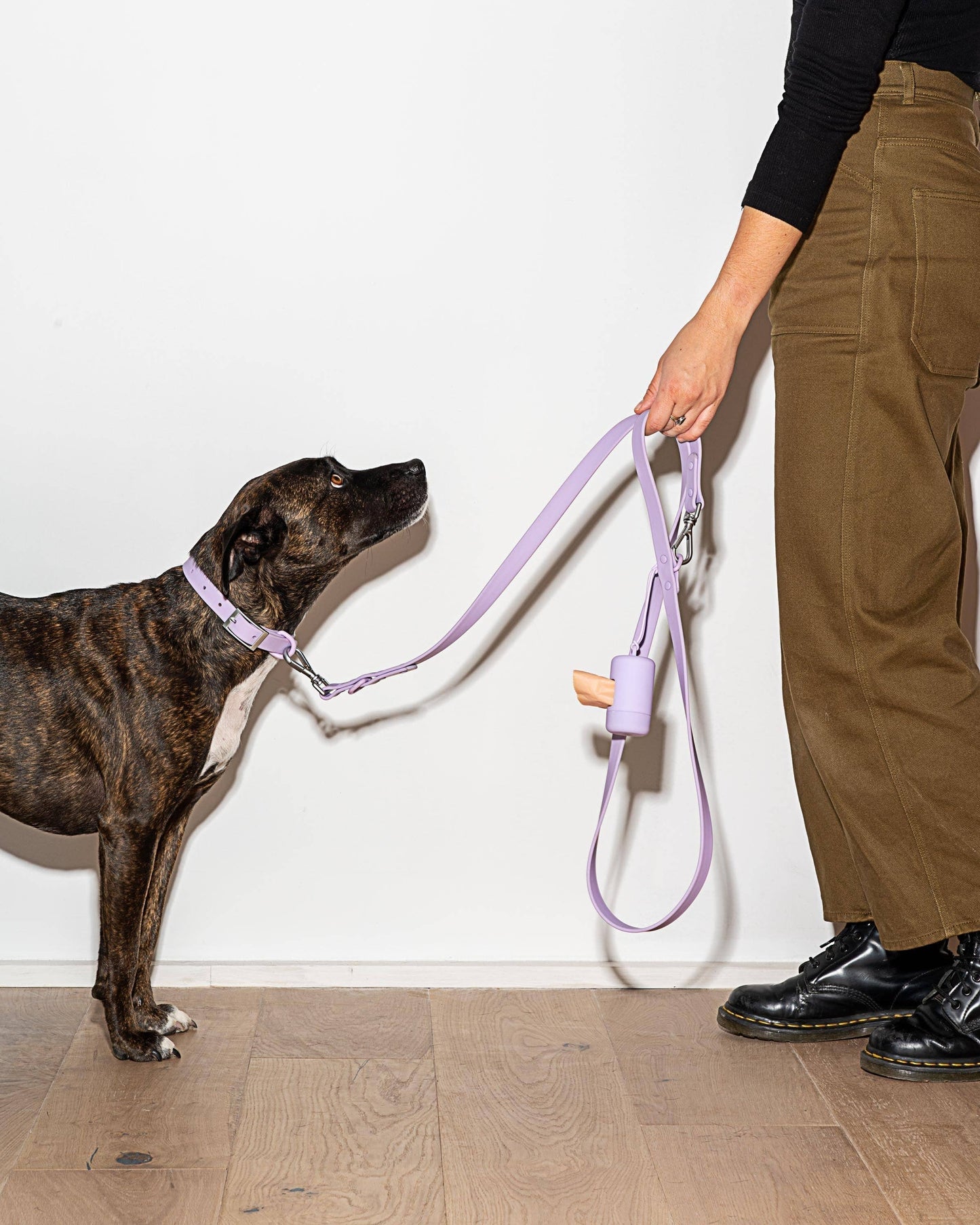 Poop Bag Carrier Dispenser for Pets & Dogs