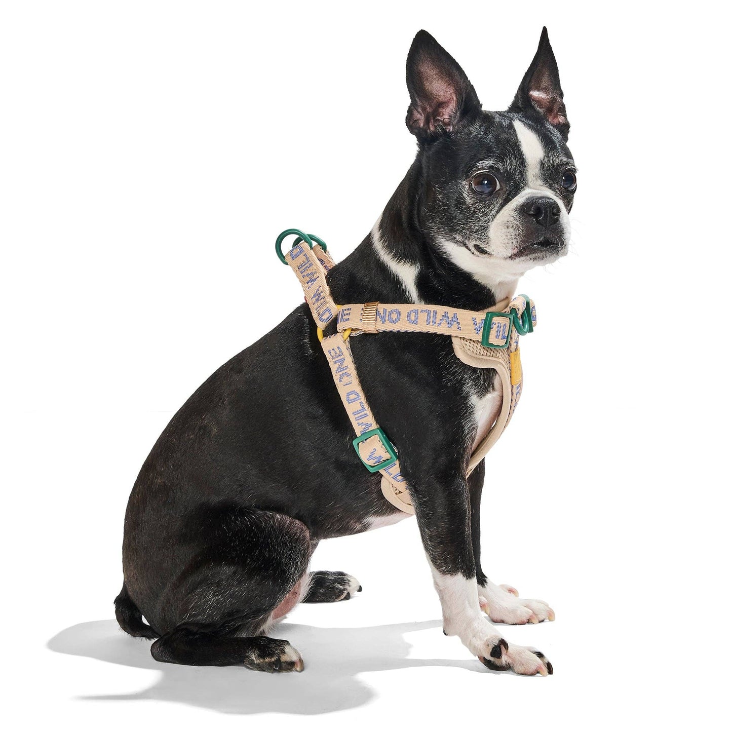 Step-In Harness
