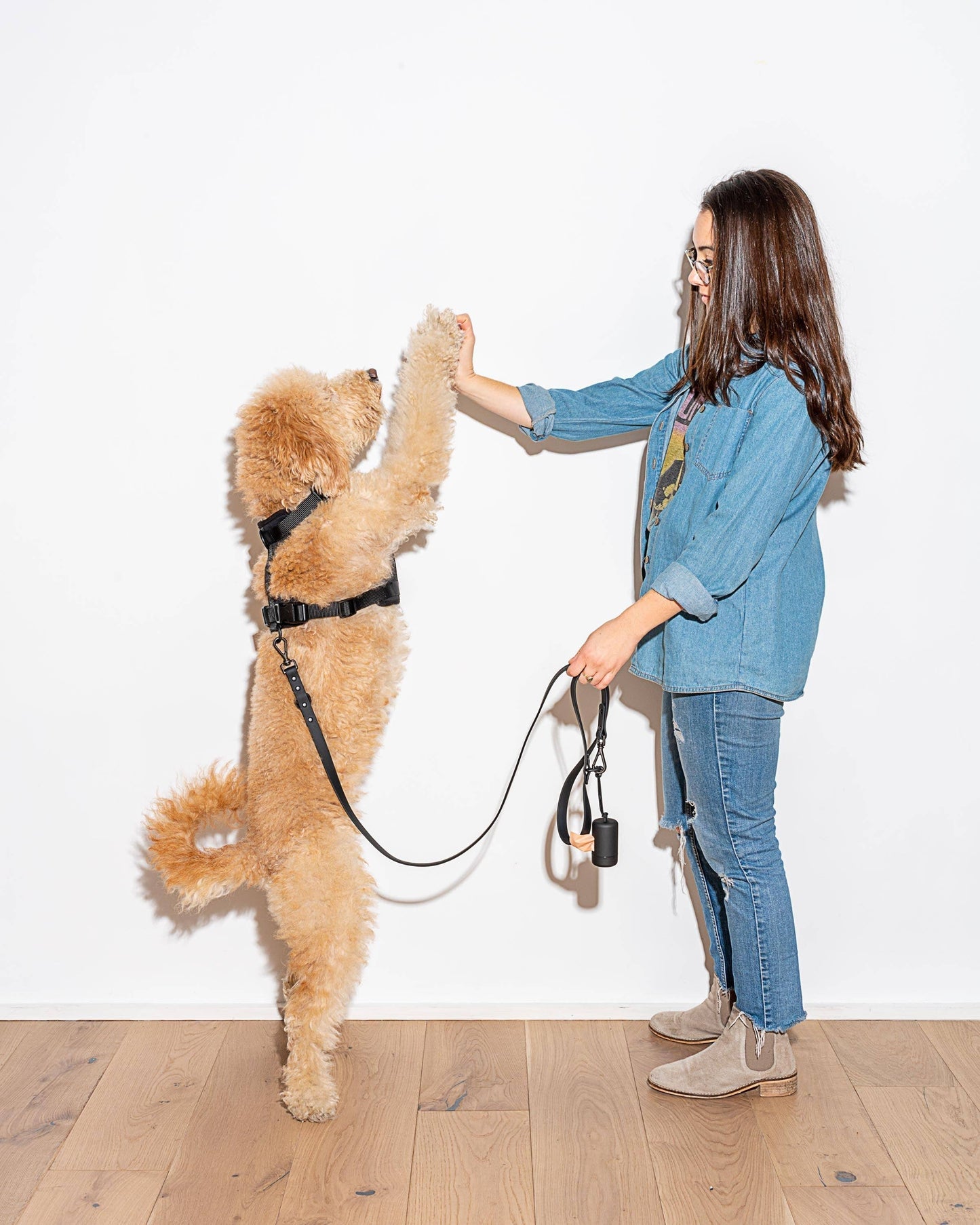 Poop Bag Carrier Dispenser for Pets & Dogs