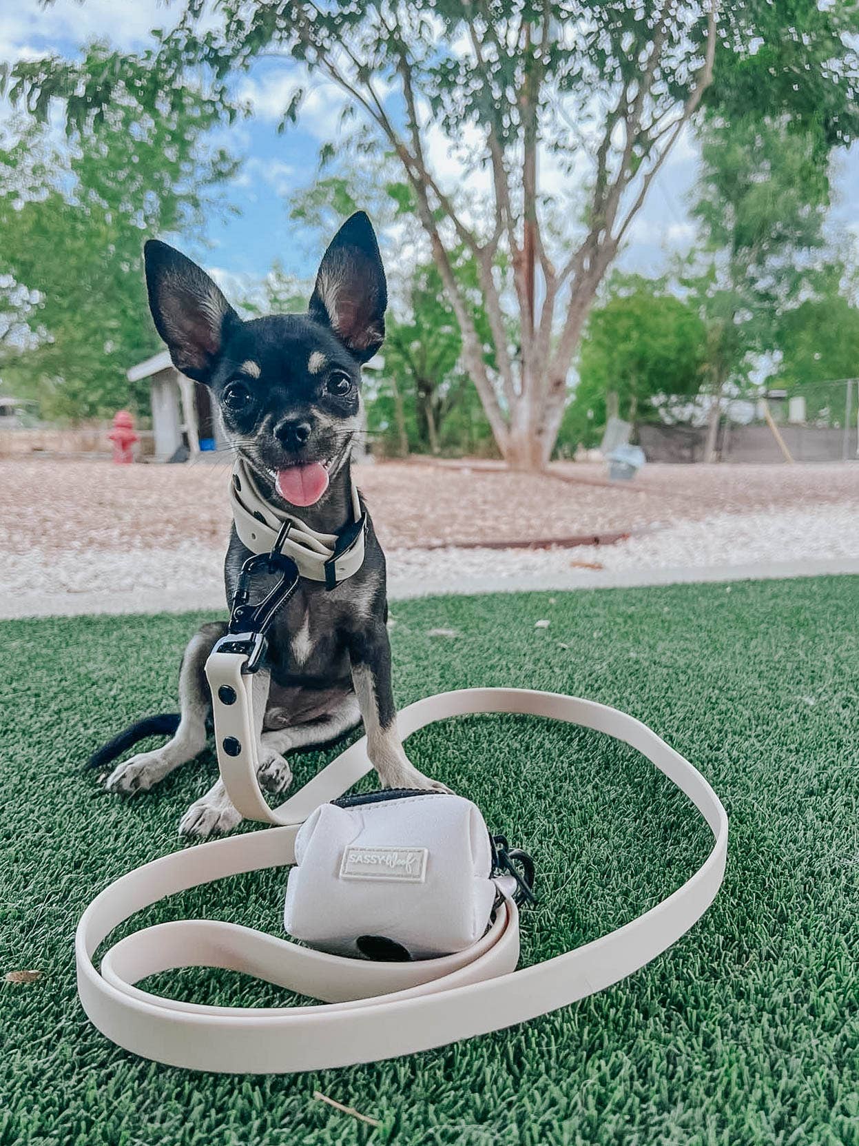 Waterproof Dog Leash - Beige