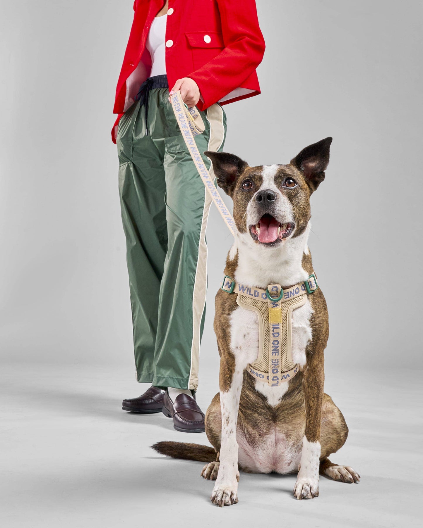 Lightweight Nylon Leash