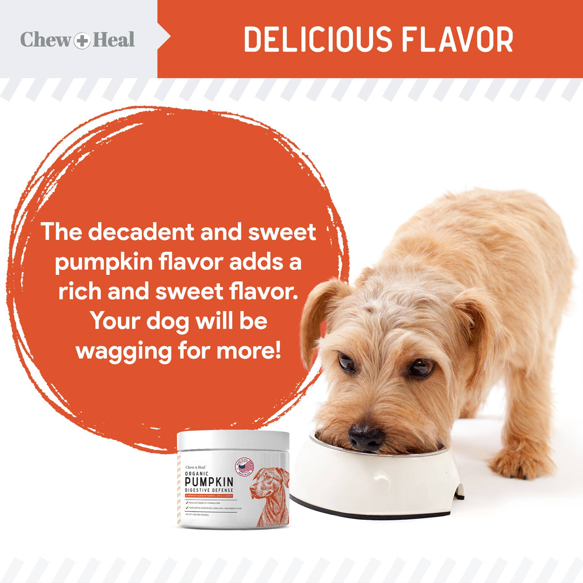 Organic Pumpkin Powder Blend, Digestive Defense for Dogs