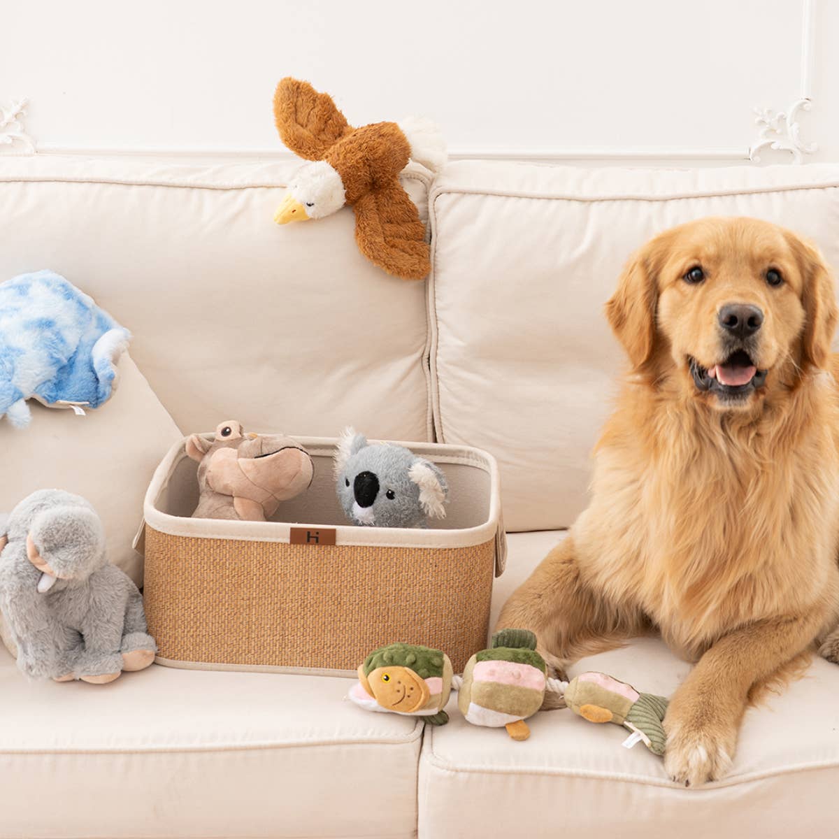 Eagle Fling and Fly Toy for Dogs