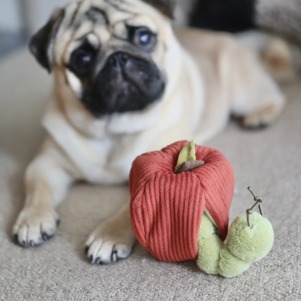 APPLE // ENRICHMENT TOY SET// SNUFFLE + BURROW