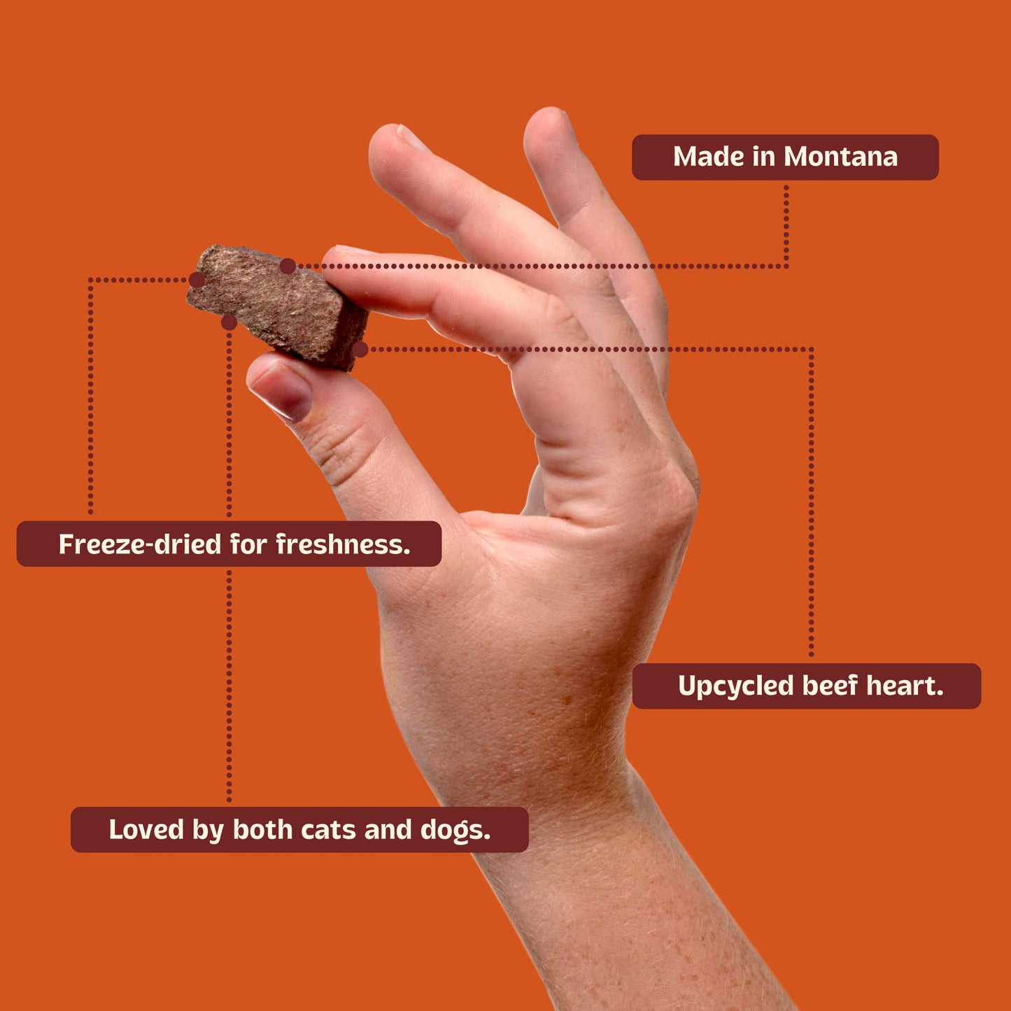 Freeze-Dried Beef Heart
