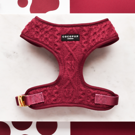 Cable Knit Jumper Adjustable Neck HARNESS - Mulled Pup Wine